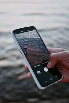 bầu cua Sodo